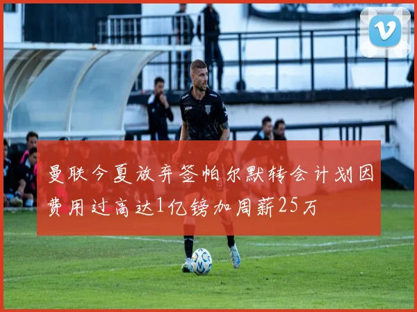 曼联今夏放弃签帕尔默转会计划因费用过高达1亿镑加周薪25万