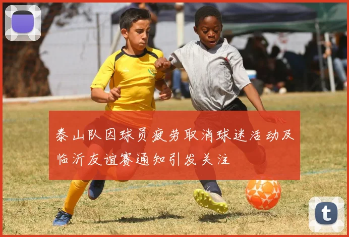 泰山队因球员疲劳取消球迷活动及临沂友谊赛通知引发关注