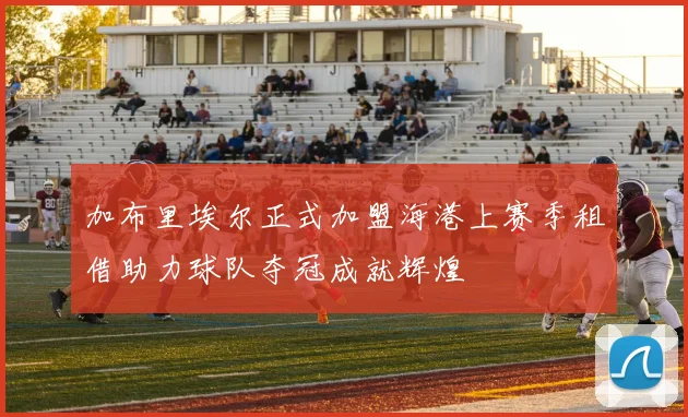 加布里埃尔正式加盟海港上赛季租借助力球队夺冠成就辉煌