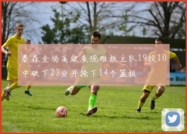 泰森全场高效表现难救主队19投10中砍下23分并抢下14个篮板