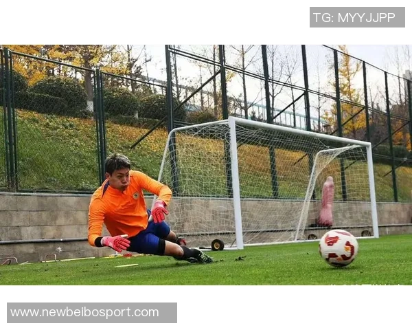 泰山队创下顶级联赛新纪录总积分1500分胜场423场进球1490个